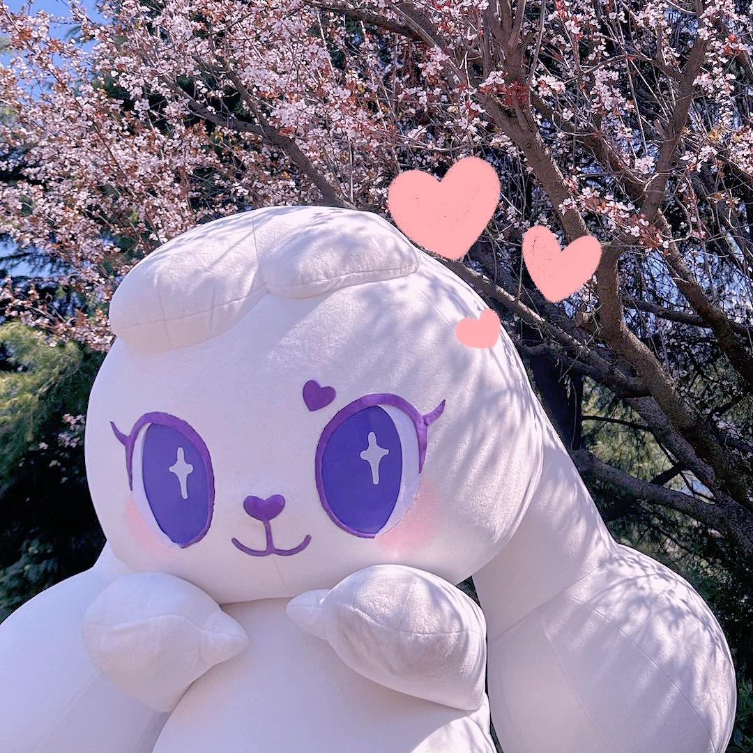 音嘟嘟是女明星