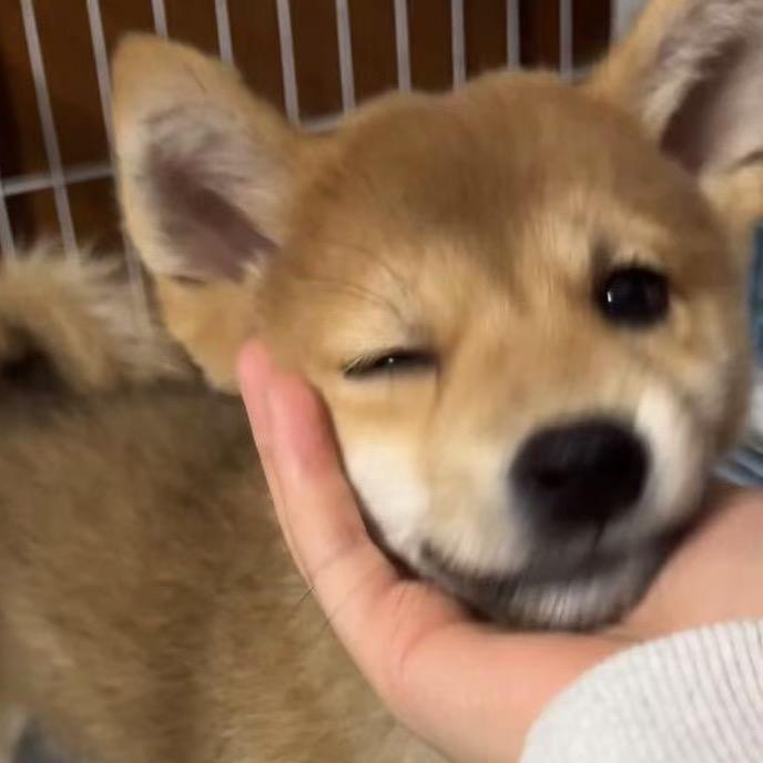 我要做一个稳定的人