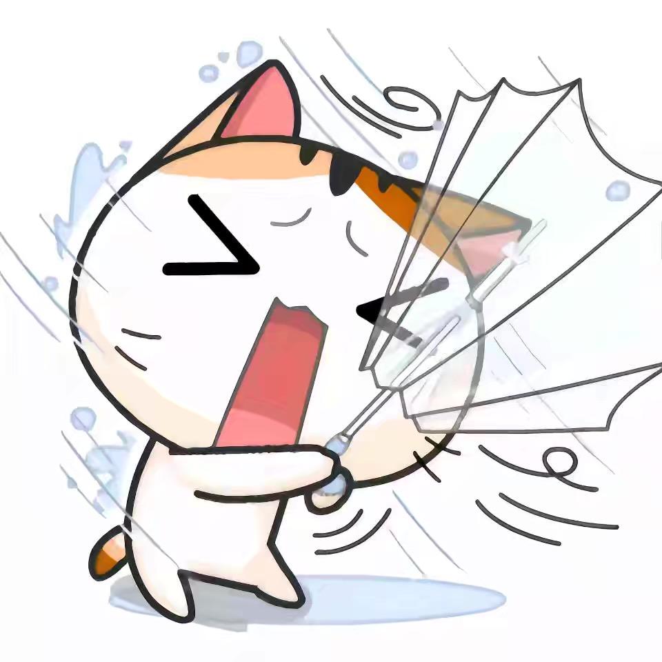 ˃̣̣̥᷄⌓˂̣̣̥᷅