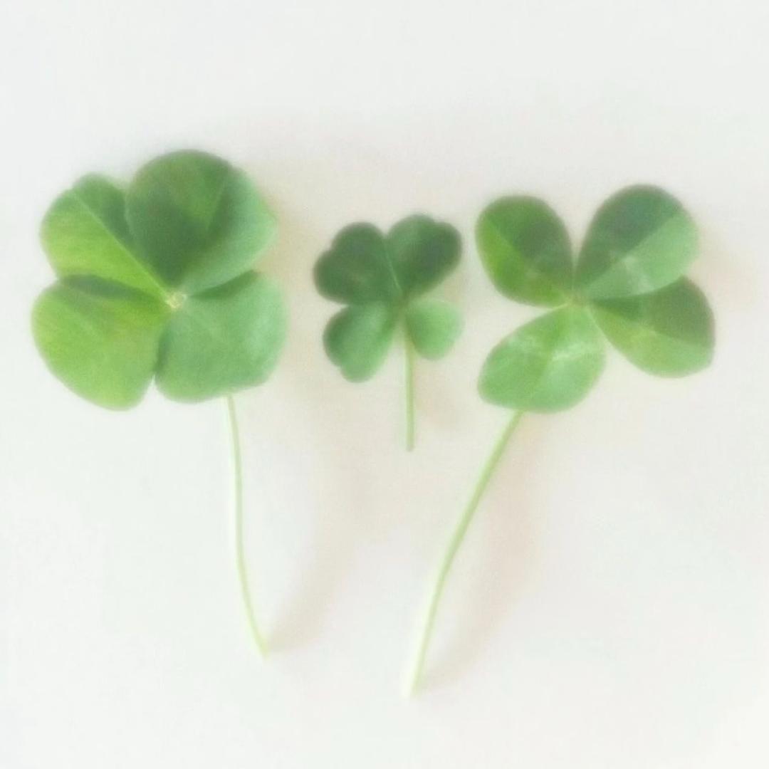 6_9