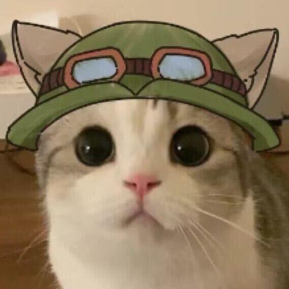 印花集