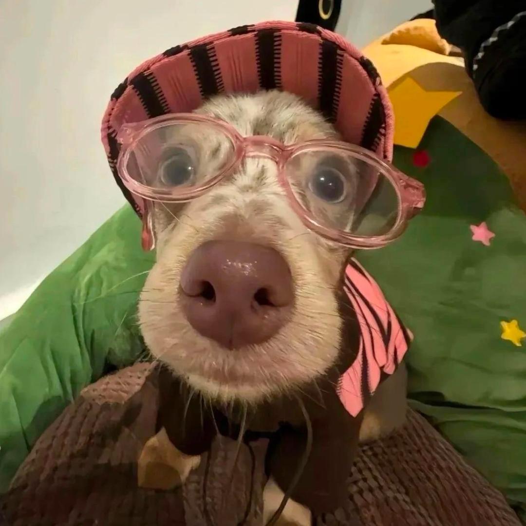 拖延成一坨狗屎