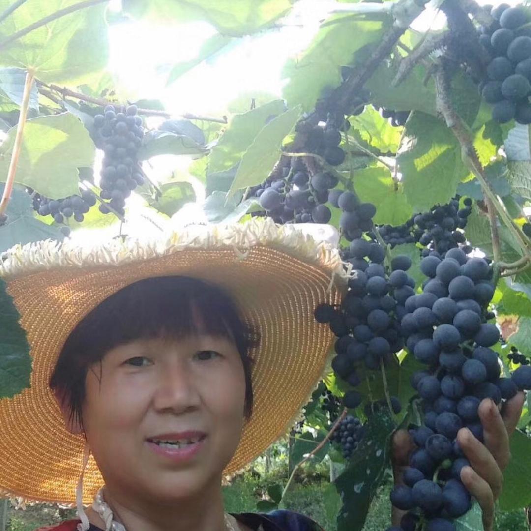 阿潘妈妈