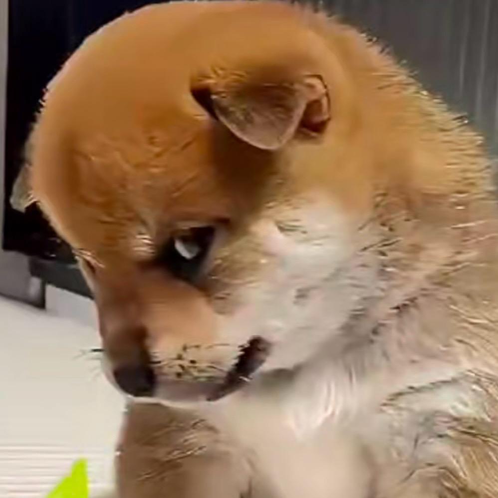 十叁