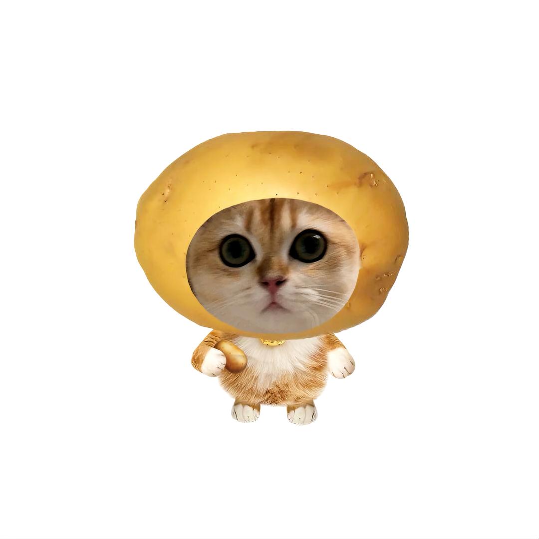 小马宝莉