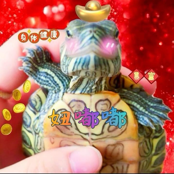 妞嘟嘟