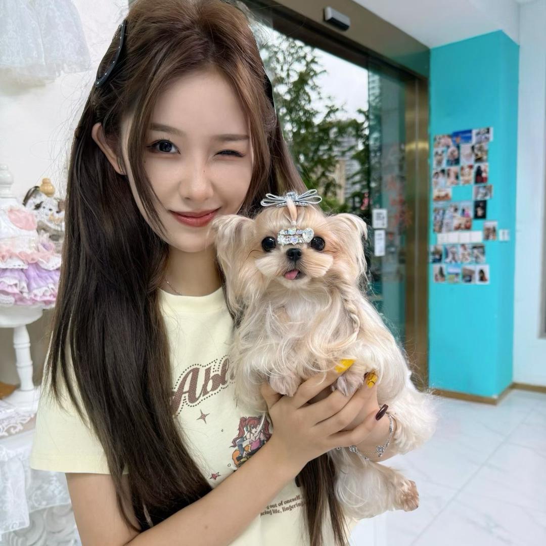 上海大莹家宠物推荐