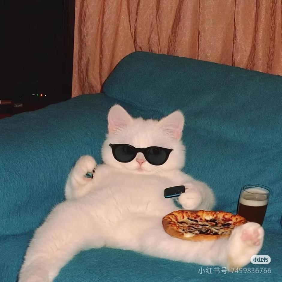 两块蛙的百宝箱