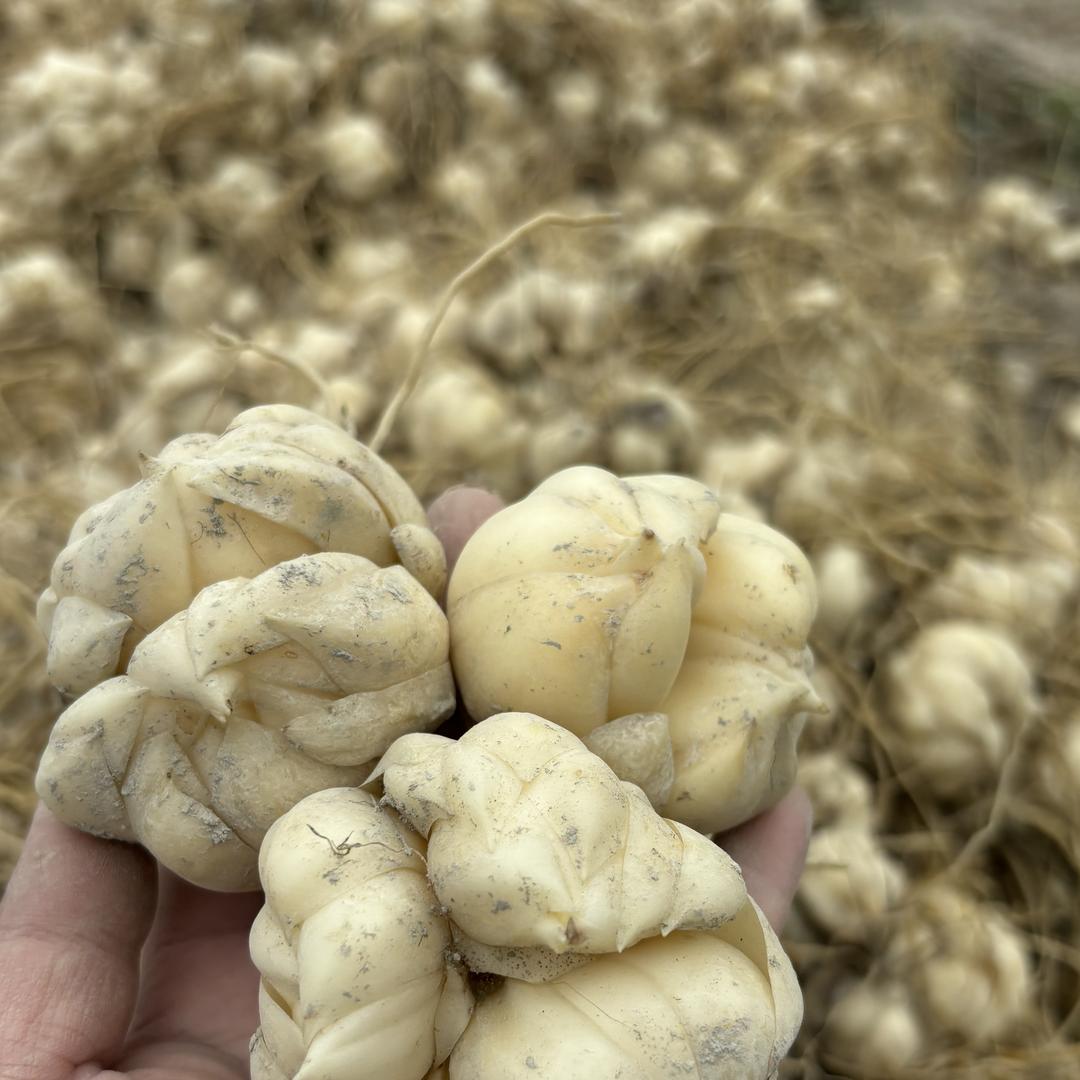 贵州黔汇本草农业优品小铺