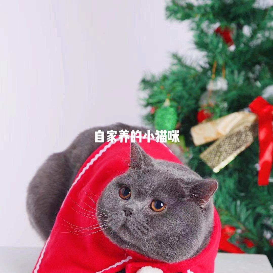 花美
