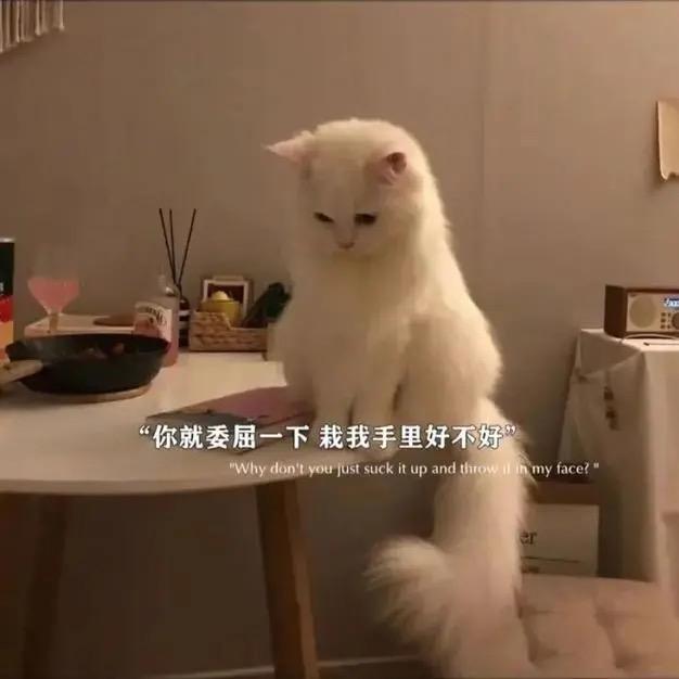 ~喂……你好