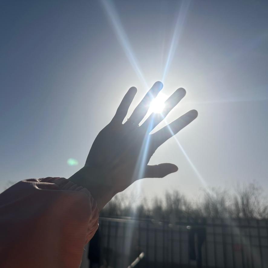 এ 小甘不吃香菜๓°