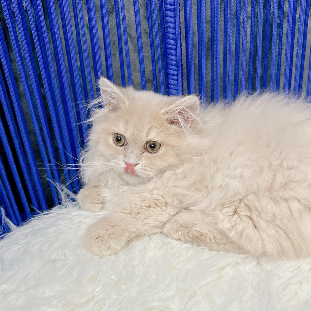 我有23个小崽子🥰