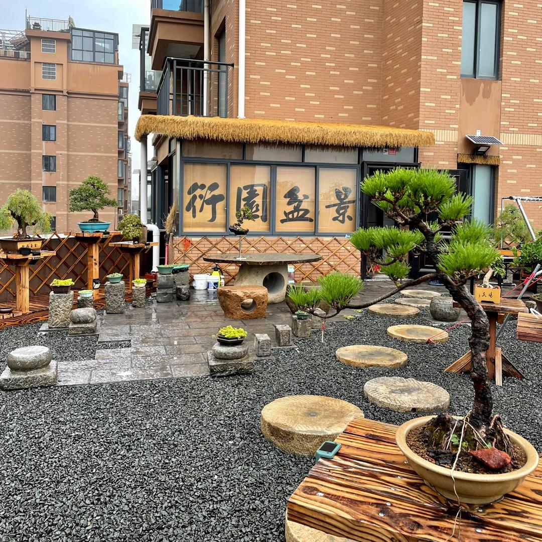 衍园盆景