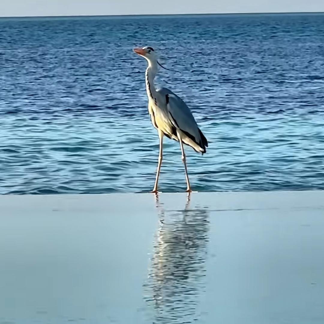 小酒窝