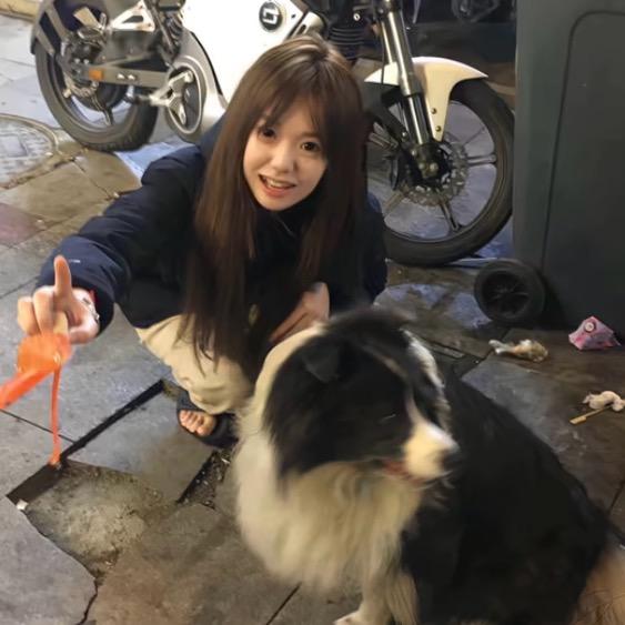 辞