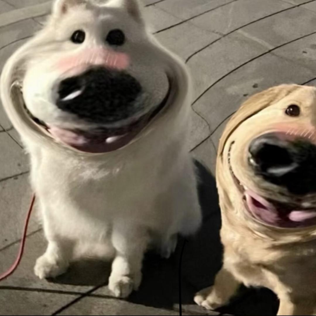 上班想着下班૮₍ ˶•‸•˶₎ა