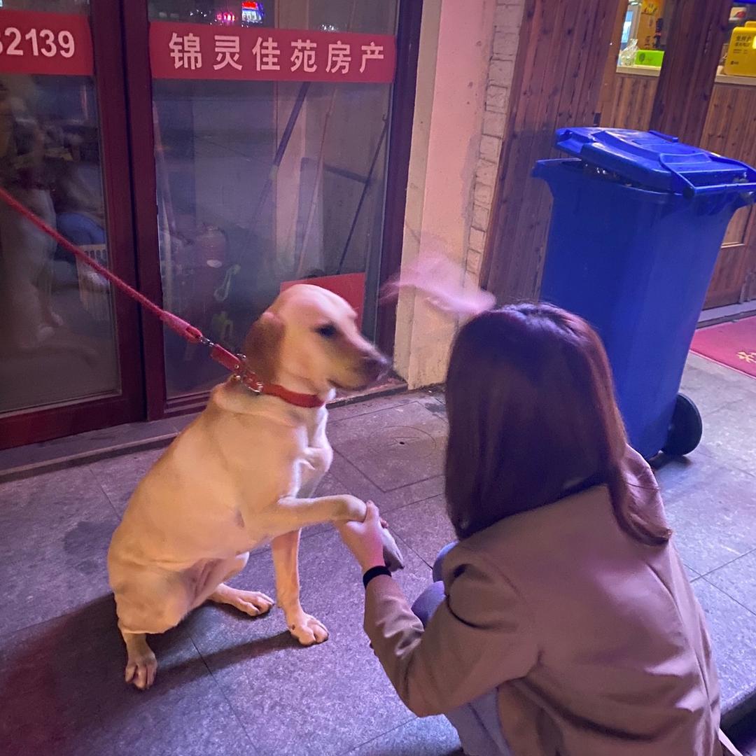 小海鸥👀