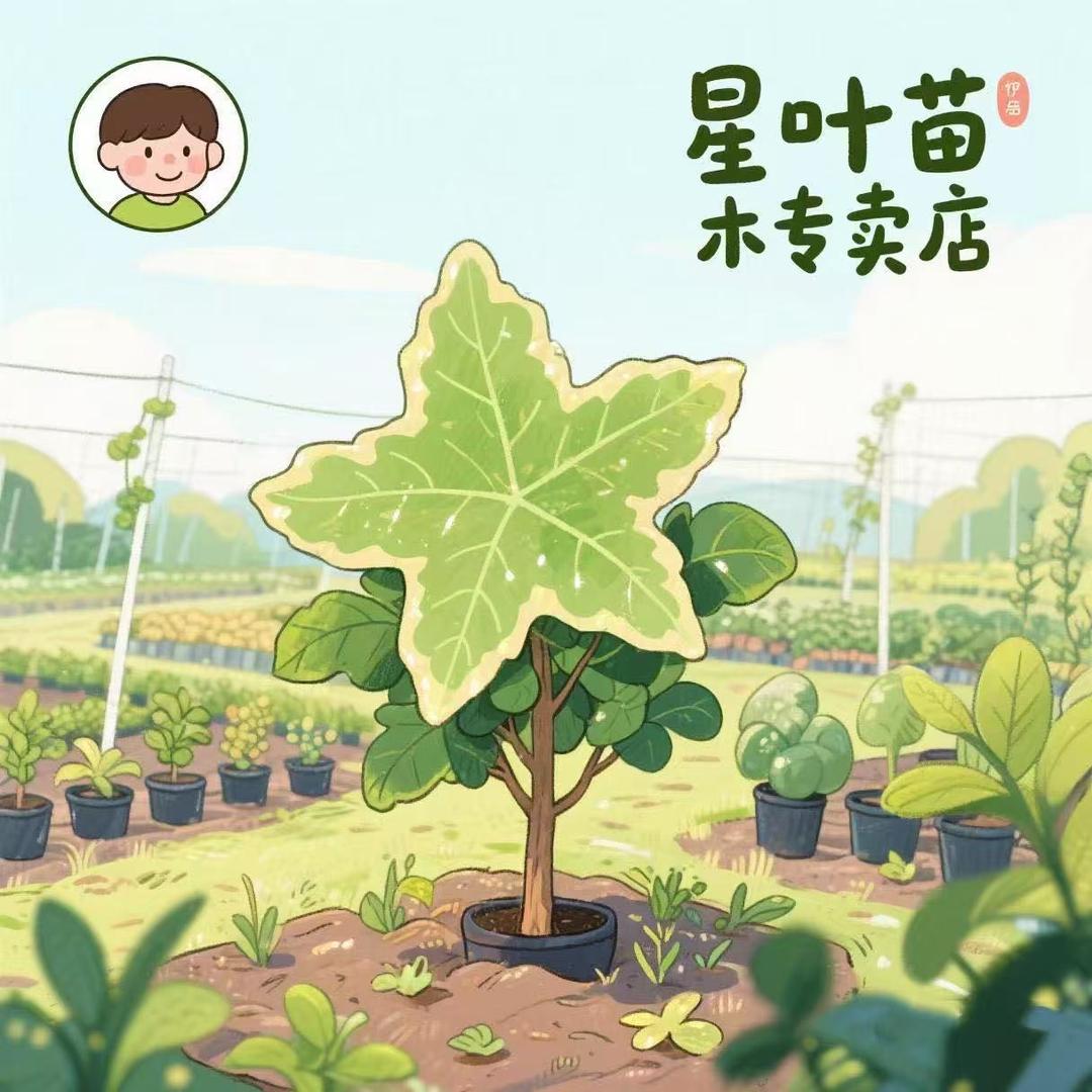 花音谷星叶果树苗木专卖店