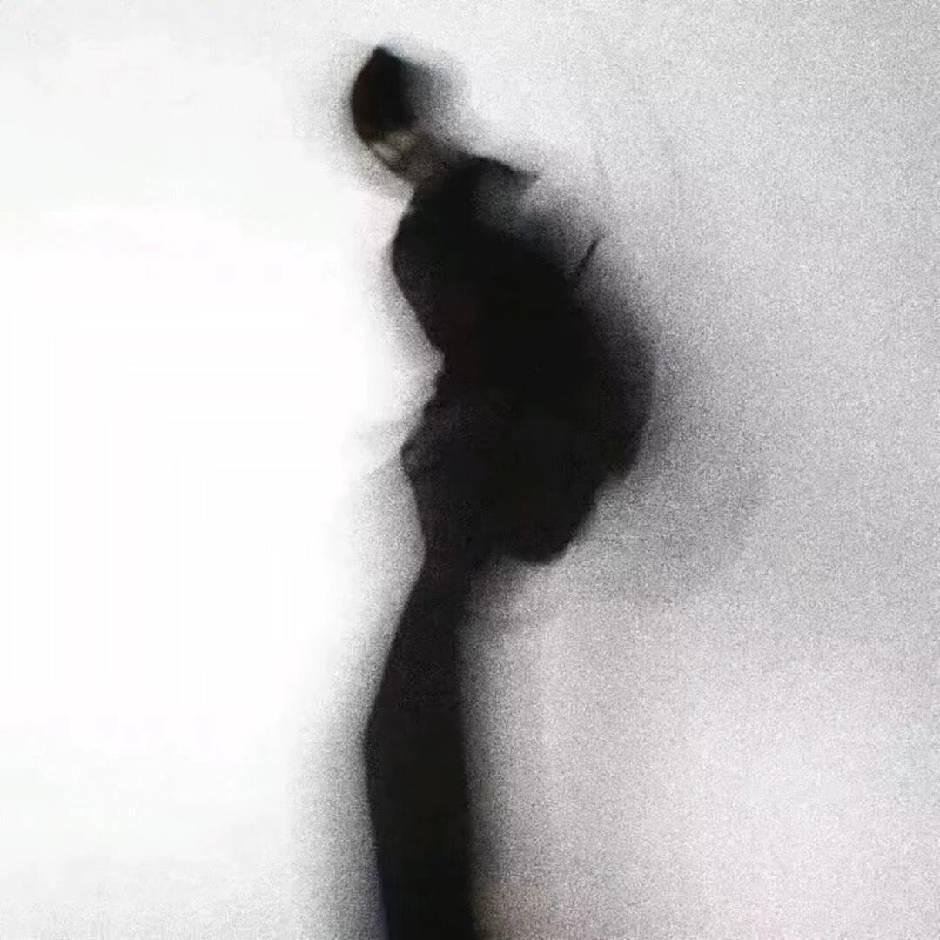 爱丢匕首的茶杯猪