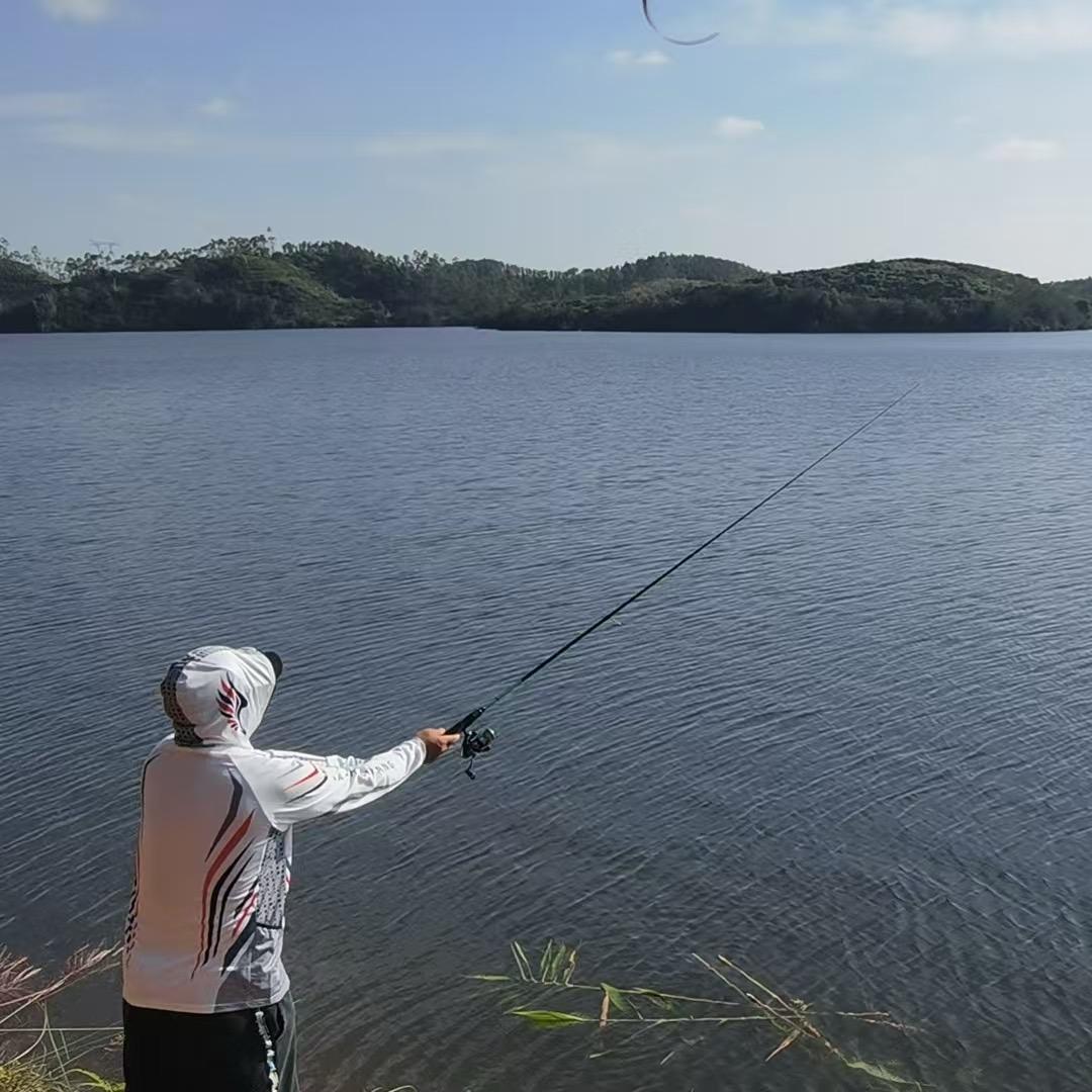 化州生猪贸易艺少