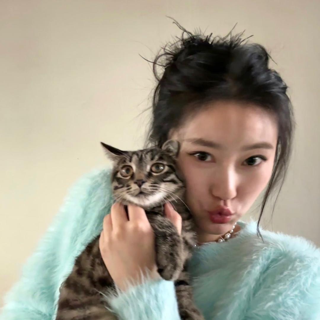 猪宁儿