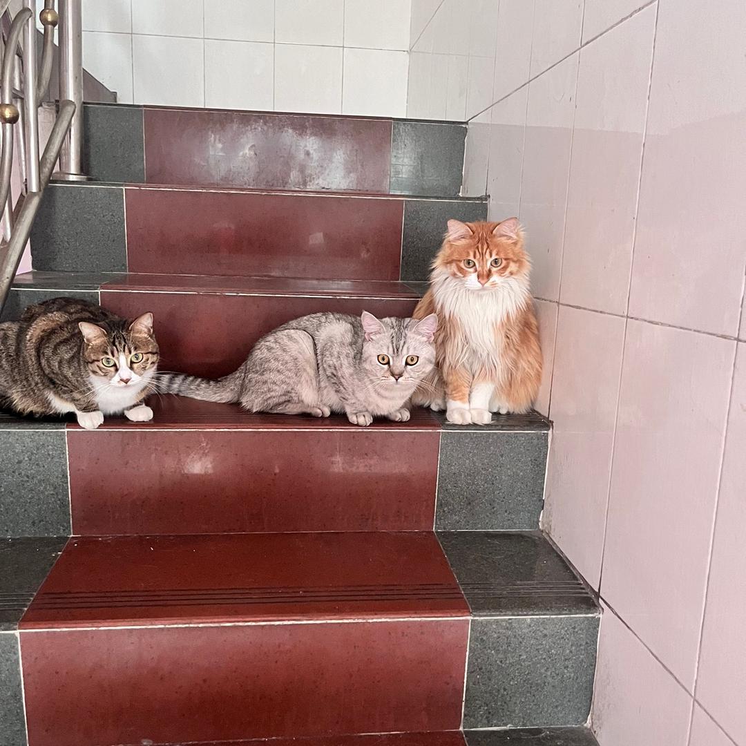 只要我名字起得够长，就有傻子把它读完