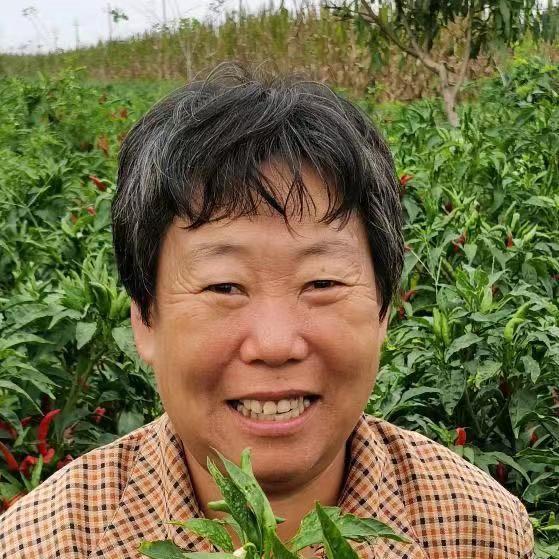 花姐和小五的日常