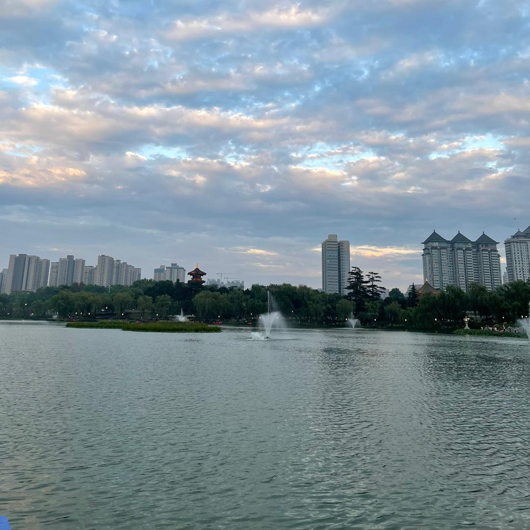 维维豆奶