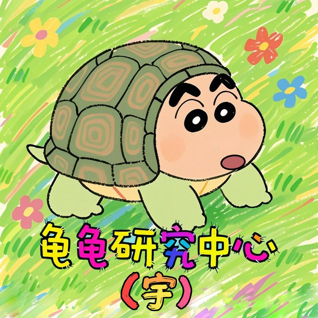 宇子、爱养龟🐢