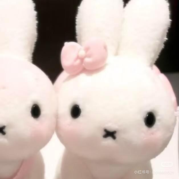 小兔系
