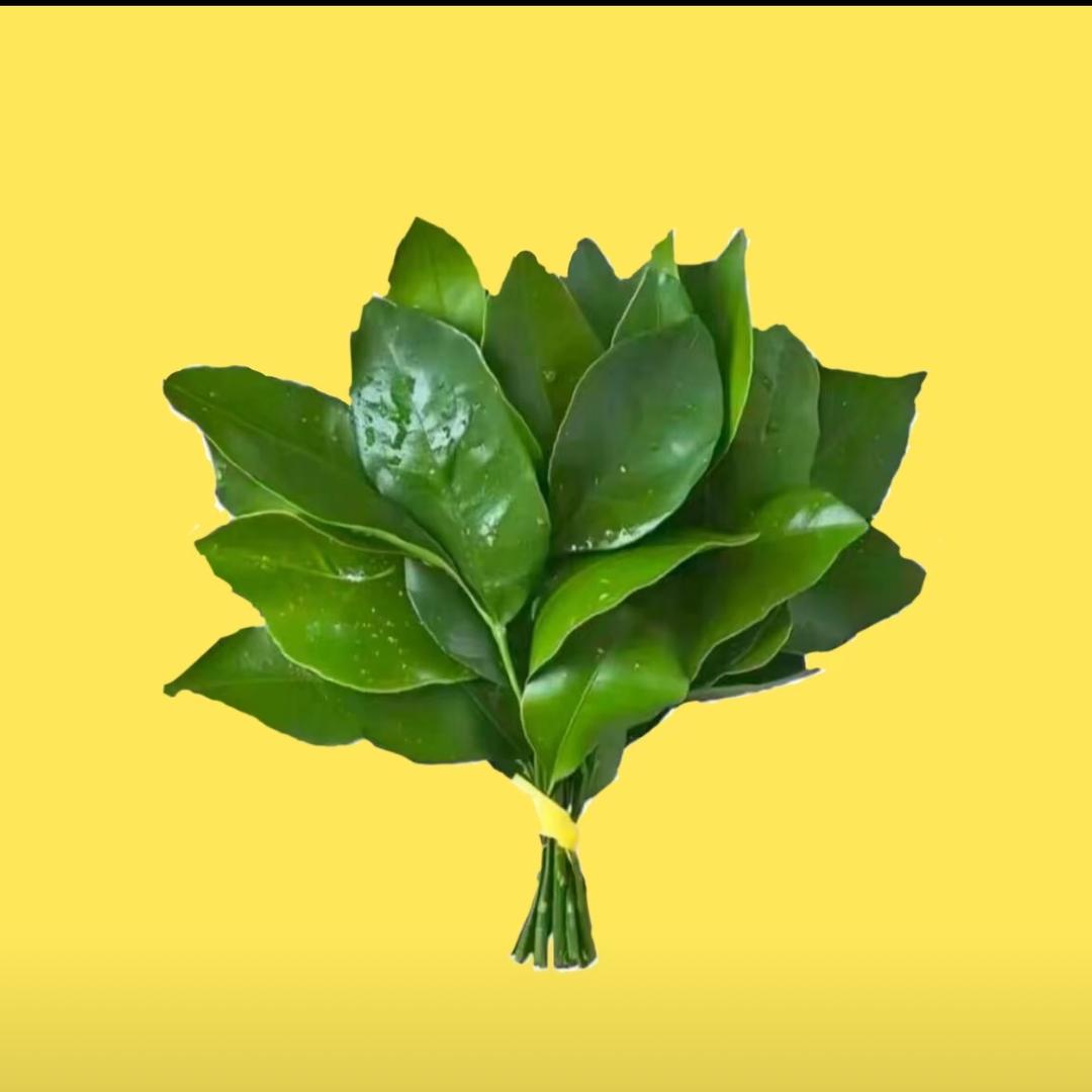 W.w