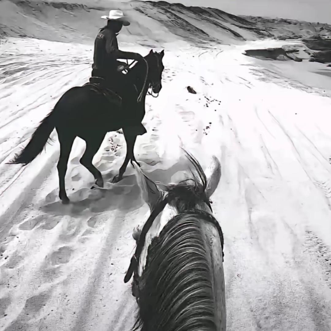 123. ￴￴ ￴￴ ￴