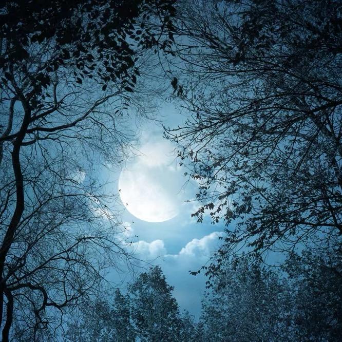 人生•生活•活着