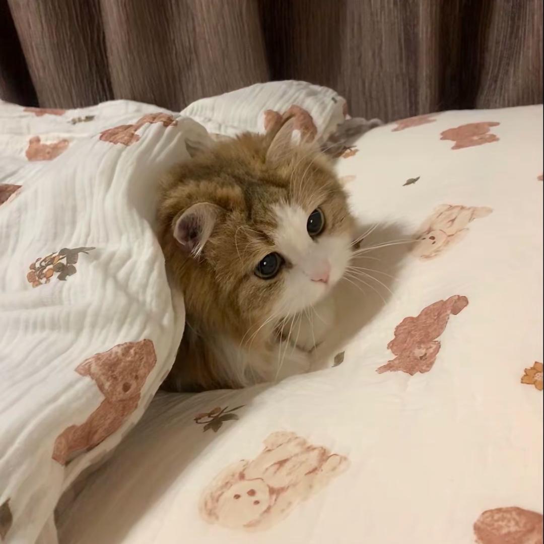 六月