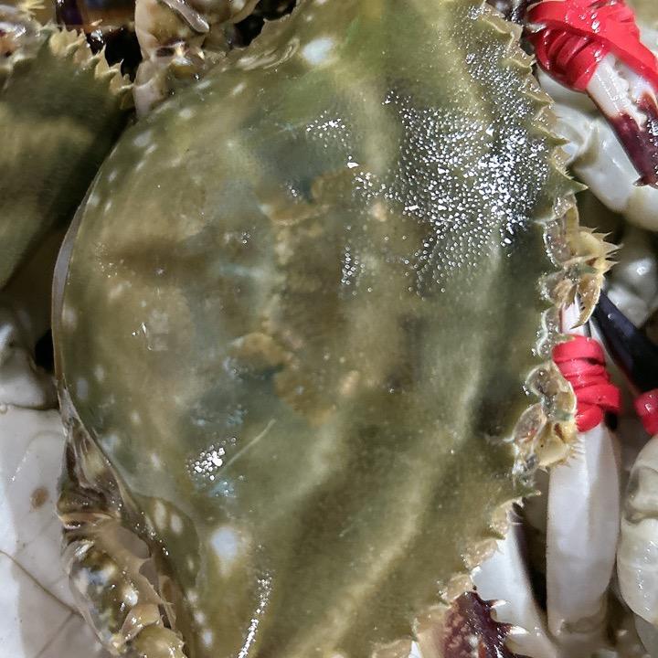 帝王话剧团