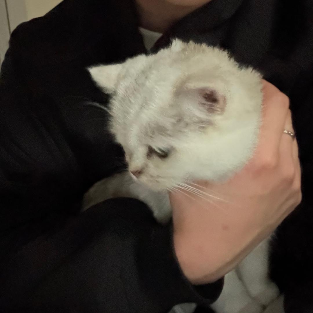 ￴￴￴ ᅟᅟᅟᅟ