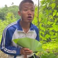 树朋（团队招人）