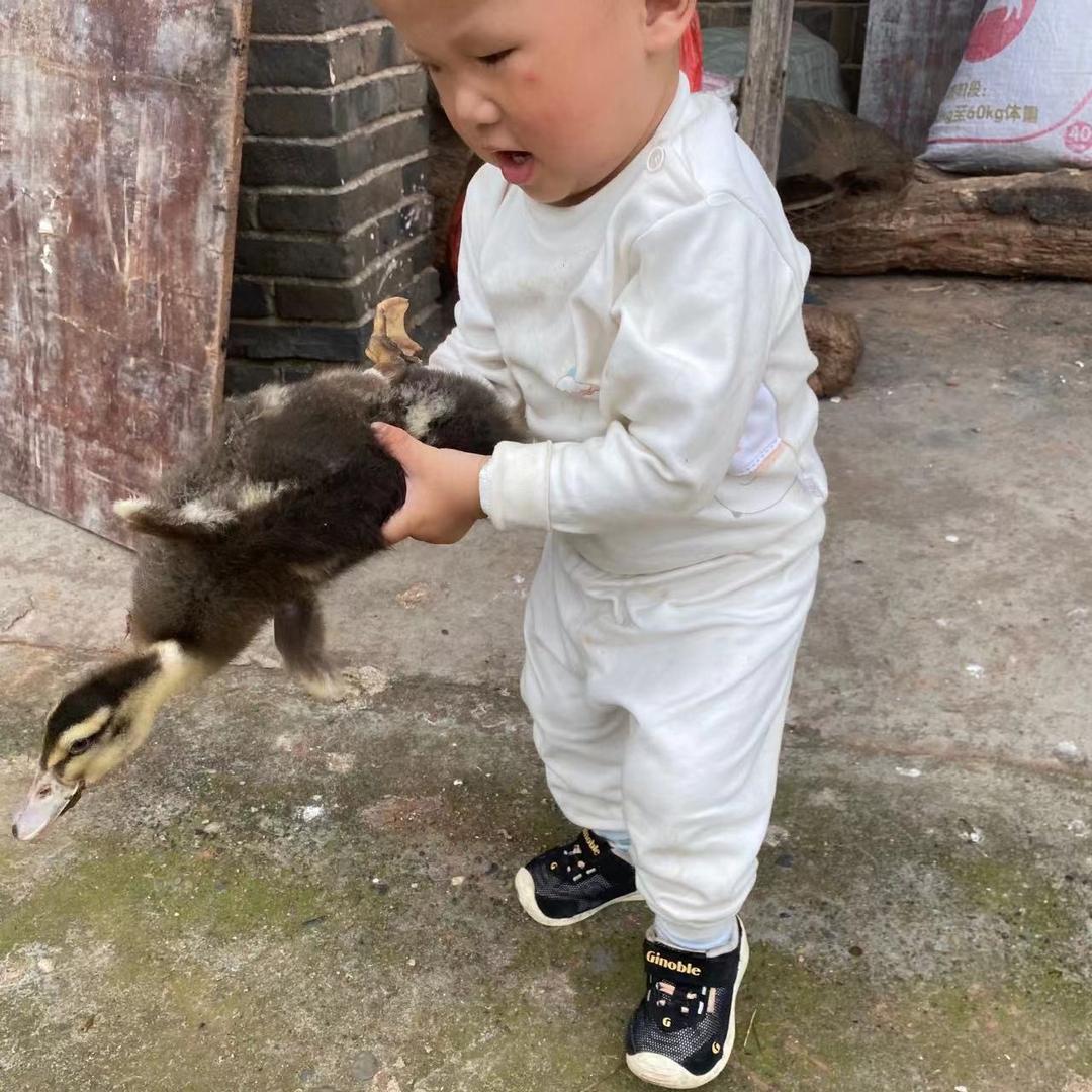 . 去码头整点薯条