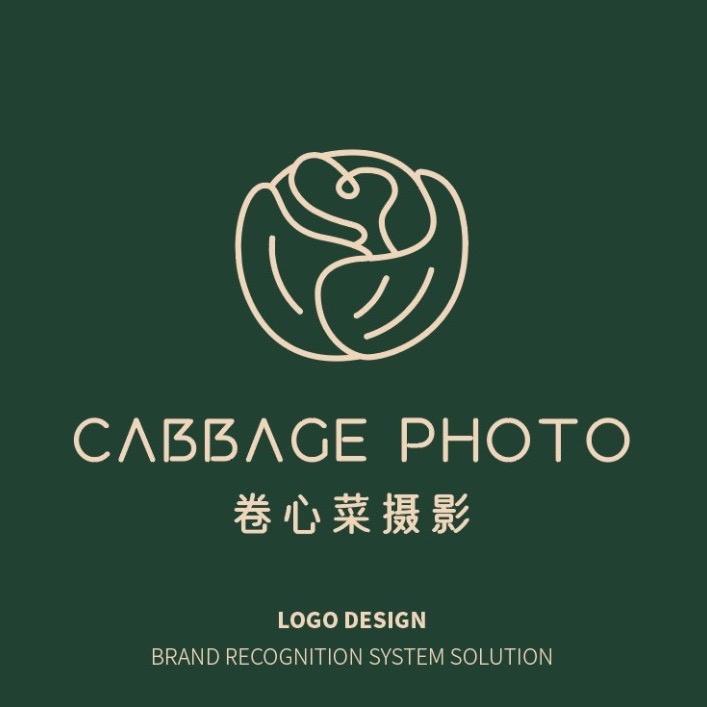 卷心菜摄影