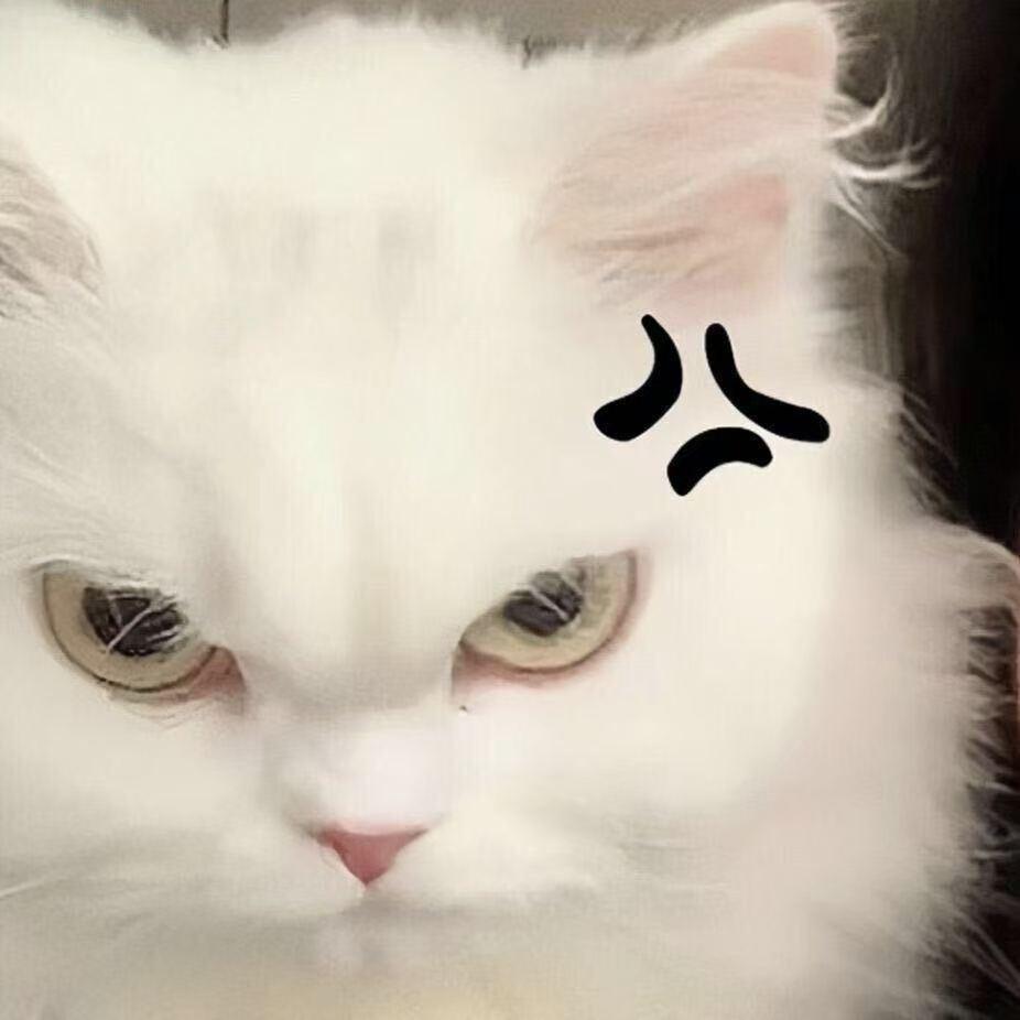 川川（工作版）