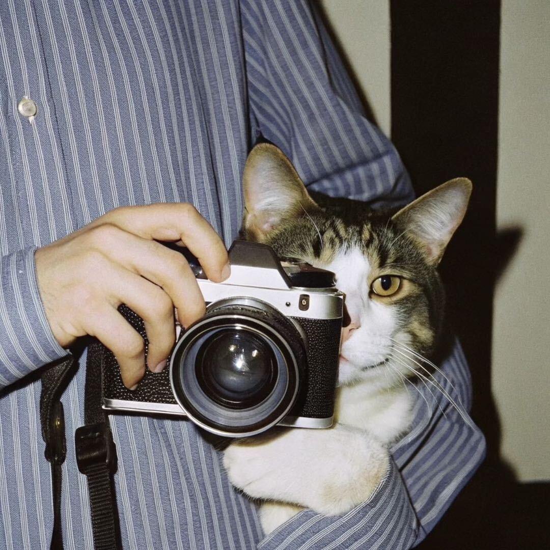 广州长隆导游跟拍_合衬📷