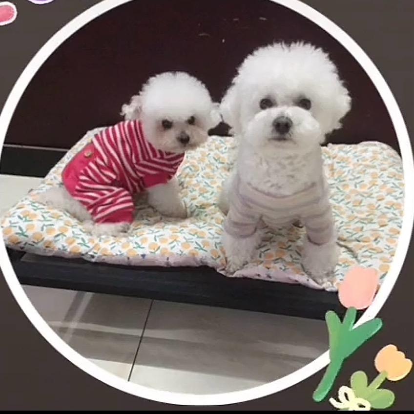 我家小可爱