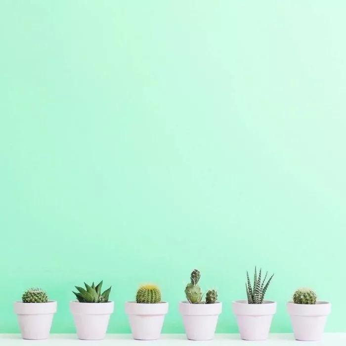 🙏🏻千与千寻🙏🏻