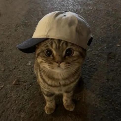 偷偷腋毛