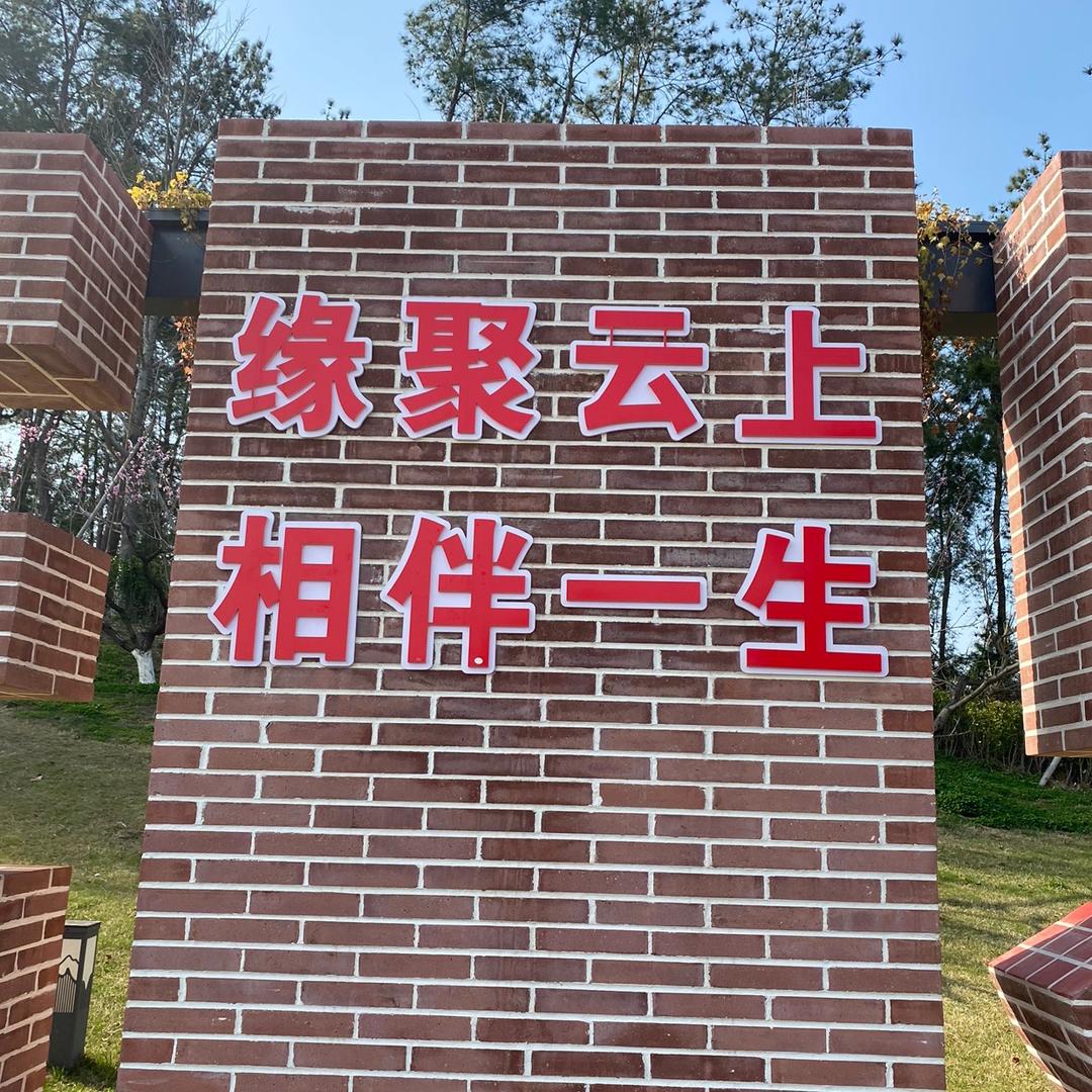 记录摆摊的生活