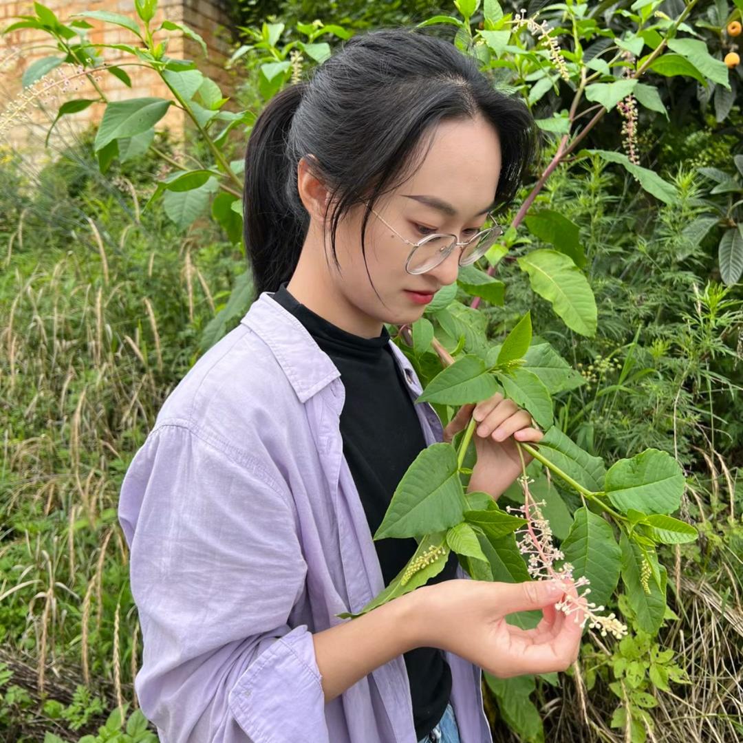 阿妹识百草
