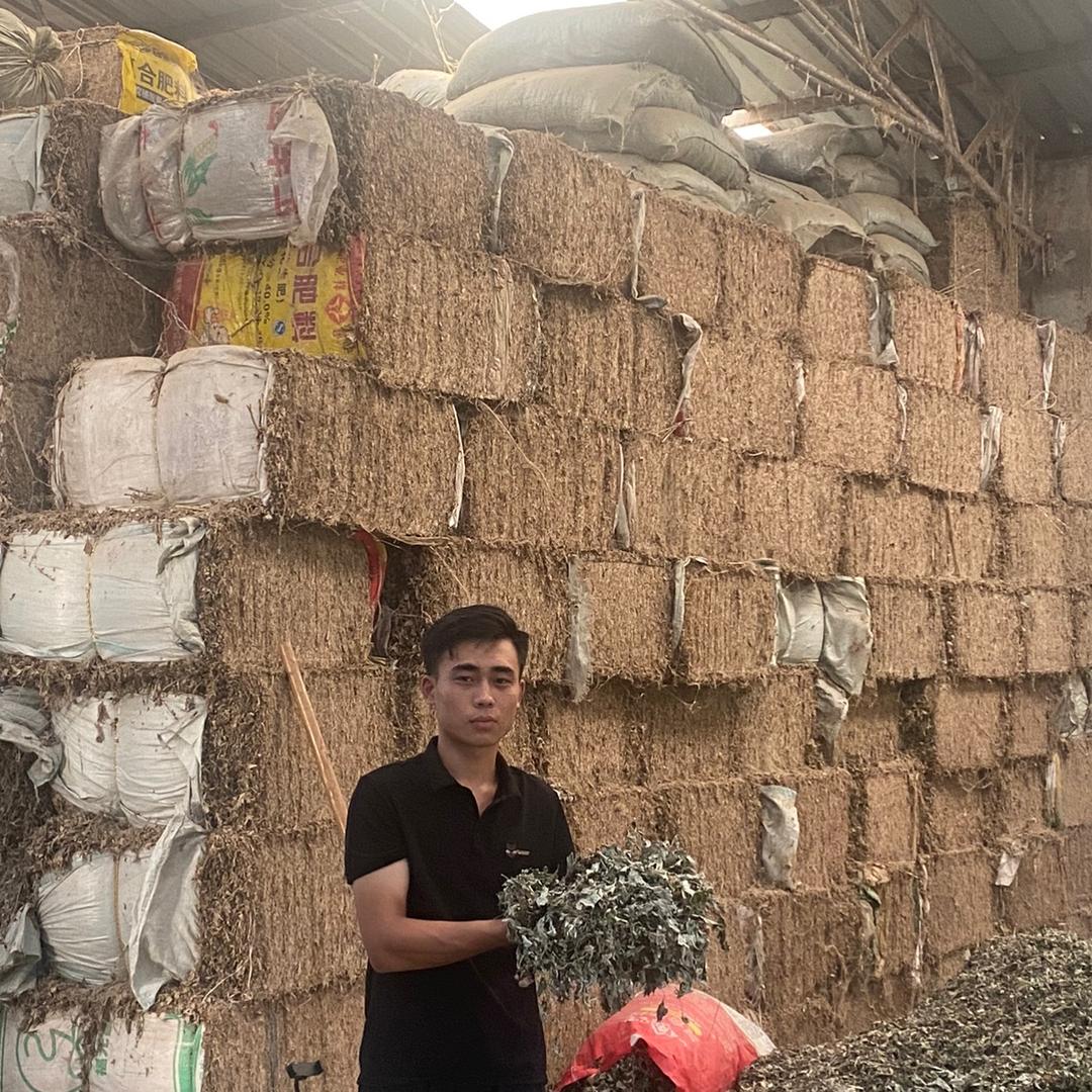 艾条艾柱加工厂