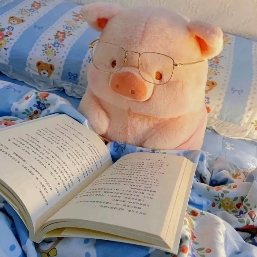 买花那天｜FLOWERS