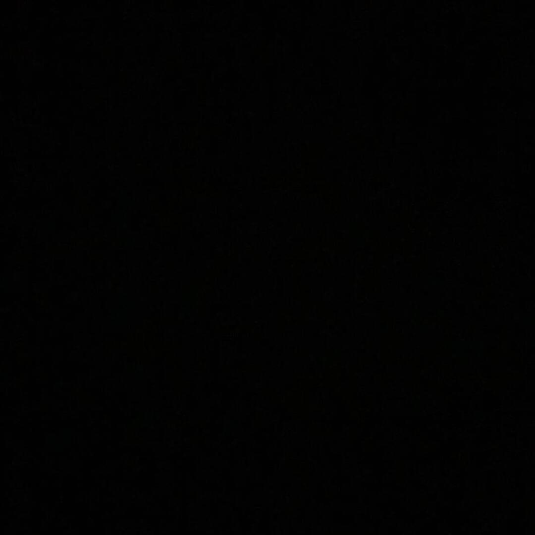 一只小阿狗